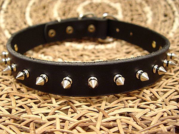 leather-spiked-dog-collar-2.jpg