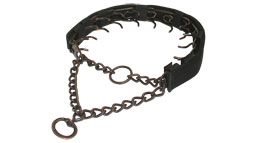 Dog prong collar with nylon