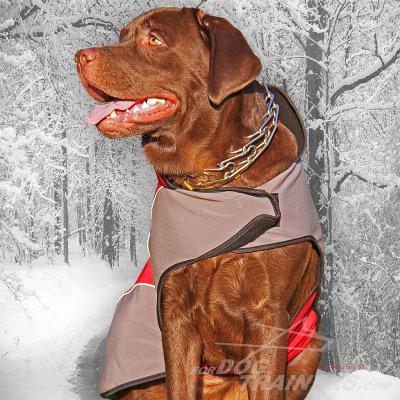 Warm Nylon Winter Dog Coat for Walking [H141073 Nylon Winter Coat