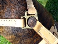 Lightweight Leather Dog Tracking Harness
