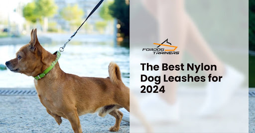 The Best Nylon Dog Leashes