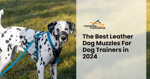 The Best Leather Dog Muzzles For Dog Trainers