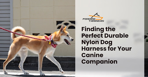 Finding the Perfect Durable Nylon Dog Harness for Your Canine Companion