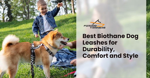 Best Biothane Dog Leashes for Durability, Comfort and Style