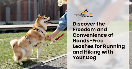 Freedom and Convenience of Hands-Free Leashes