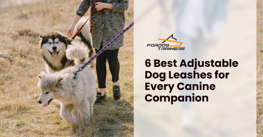 6 Best Adjustable Dog Leashes for Every Canine Companion