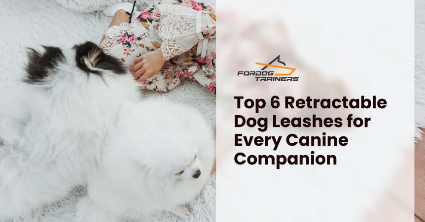 Top 6 Retractable Dog Leashes for Every Canine Companion