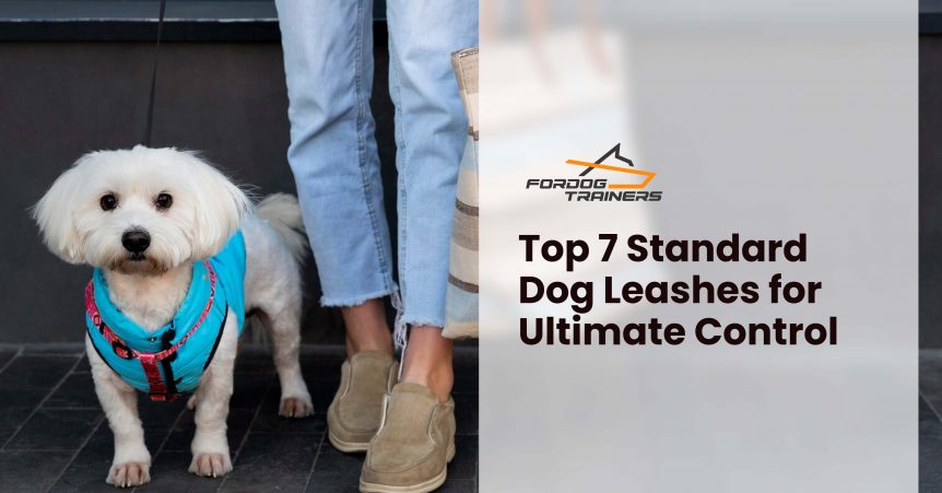 Top 7 Standard Dog Leashes for Ultimate Control