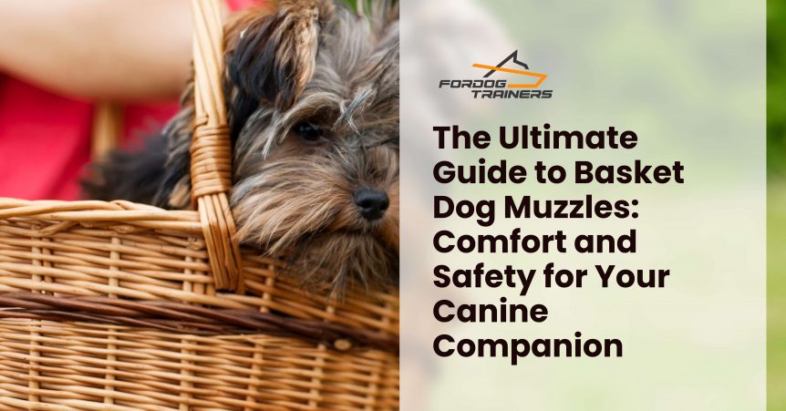 The Ultimate Guide to Basket Dog Muzzles_ Comfort and Safety for Your Canine Companion