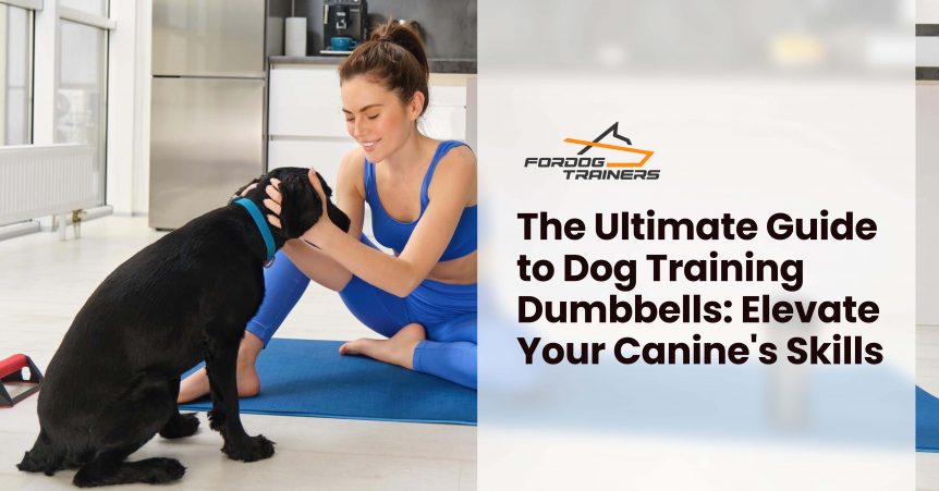 The Ultimate Guide to Dog Training Dumbbells_ Elevate Your Canine's Skills