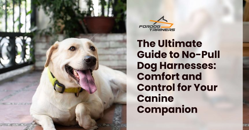 The Ultimate Guide to No-Pull Dog Harnesses_ Comfort and Control for Your Canine Companion