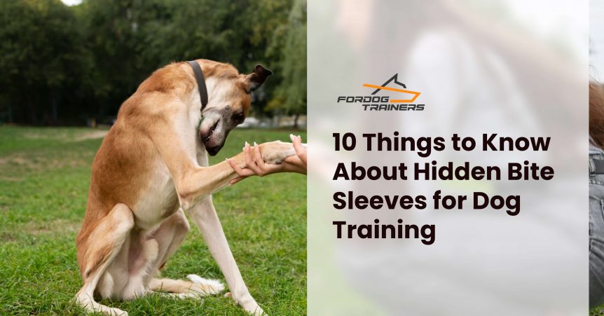 10 Things to Know About Hidden Bite Sleeves for Dog Training