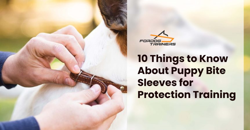 10 Things to Know About Puppy Bite Sleeves for Protection Training