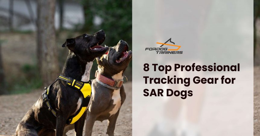 8 Top Professional Tracking Gear for SAR Dogs