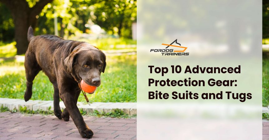 Top 10 Advanced Protection Gear_ Bite Suits and Tugs