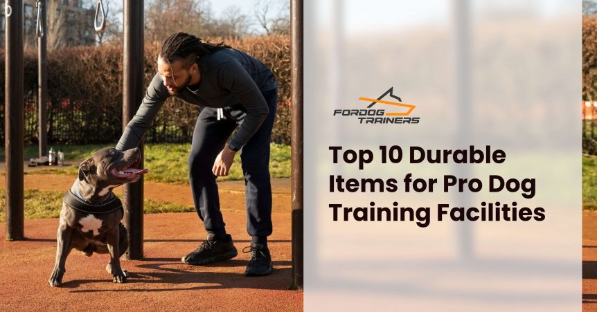 Top 10 Durable Items for Pro Dog Training Facilities