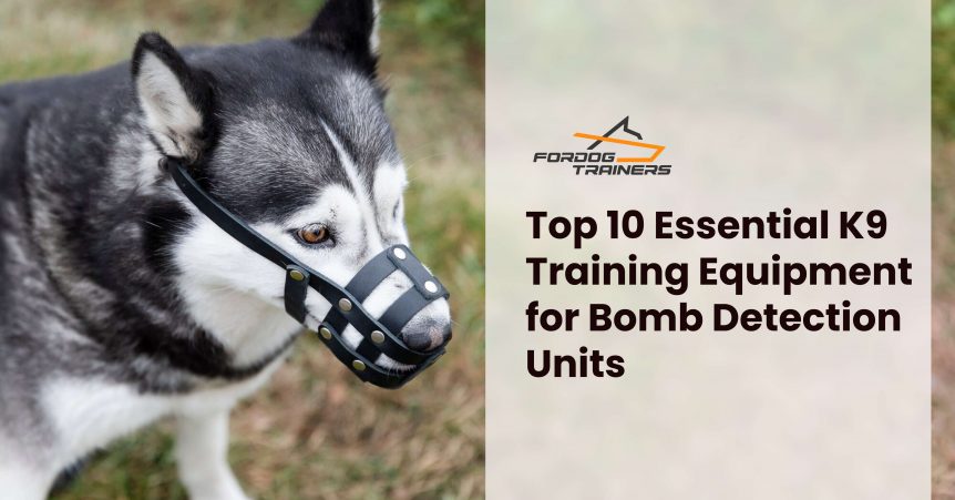 Top 10 Essential K9 Training Equipment for Bomb Detection Units