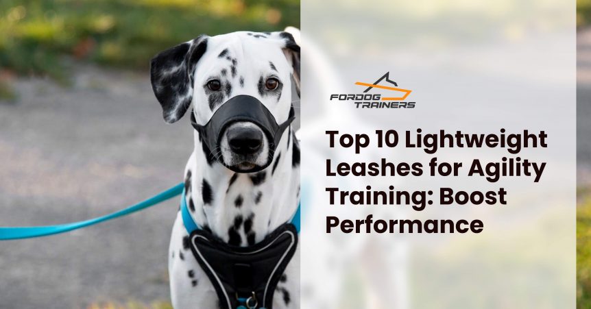 Top 10 Lightweight Leashes for Agility Training_ Boost Performance