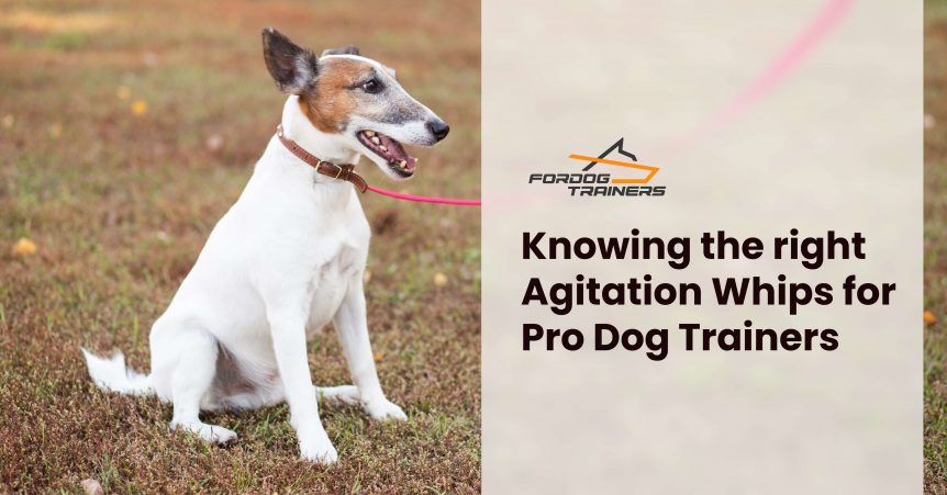 Knowing the right Agitation Whips for Pro Dog Trainers