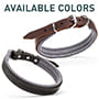 Padded Leather Dog Collar for Agitation Training 1 inch (2.5cm) width