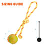 2 1/3 inch (6 cm) Training Solid Rubber Dog Ball on String - Medium