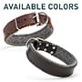 Padded Leather Dog Collar 1.5 inch (3.8cm) width