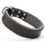 Padded Leather Dog Collar 1.5 inch (3.8cm) width