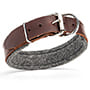 Padded Leather Dog Collar 1.5 inch (3.8cm) width