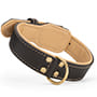 Royal Nappa Padded Handmade Leather Dog Collar for Fashion Walking