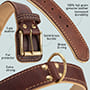 Royal Nappa Padded Handmade Leather Dog Collar for Fashion Walking