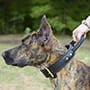 Heavy Duty Best Dog Collar for Training with Handle