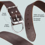 Universal Design  Leather Dog  Collar - 2 inch Wide