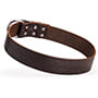 Universal Design  Leather Dog  Collar - 2 inch Wide