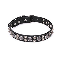 Buy today dog collar - best selection of dog collars - over 100 types ...