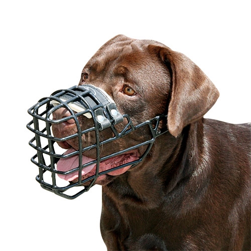 rubber dog muzzle