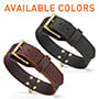 2 ply Leather Agitation Dog Collar