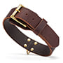 2 ply Leather Agitation Dog Collar