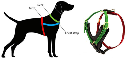 Hifrenchies® soft padded harness