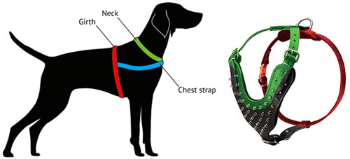 Designer Brass Spiked Cane Corso Harness for Canine Walking and Training  [H9B##1073 Brass Spiked Leather Dog Harness] - $153.99 : Best quality dog  supplies at crazy reasonable prices - harnesses, leashes, collars