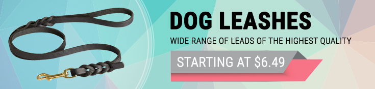 Buy Today dog leashes - dog leash for any task - only best quality, pay