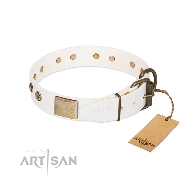 White Dog Collar - Easy-to-use and Adjust