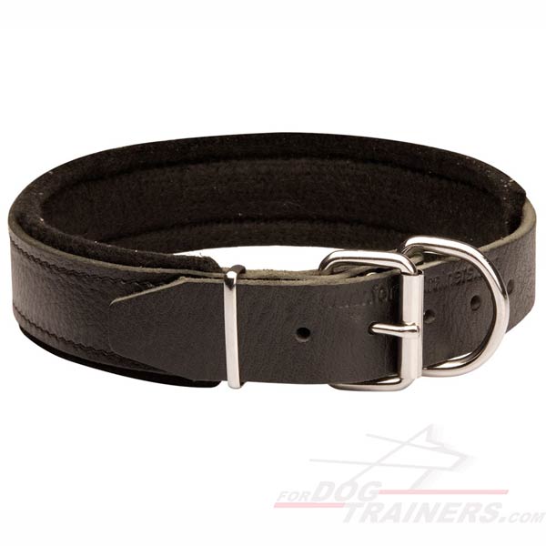 German Shepherd Collar Leather Extra Strong for Training