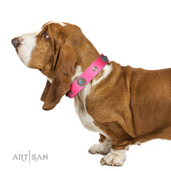 Walking leather Basset Hound collar of good quality