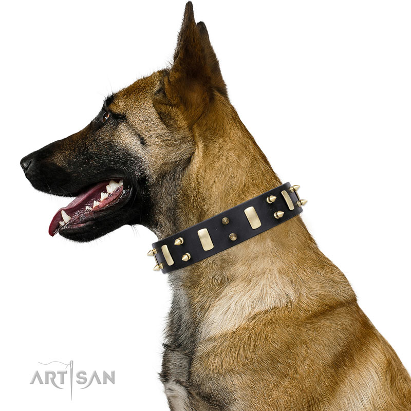 Basic Classic Luxury Padded Leather Dog Collar - Rust Proof Brass Strong  Leather Collar Heavy Duty Alloy Hardware Best for Small, Medium, Large Dogs