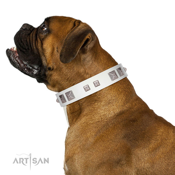 Walking top-notch quality walking leather Boxer collar