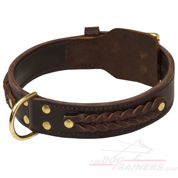 Obtain Wide Leather Dog Collar with Braids