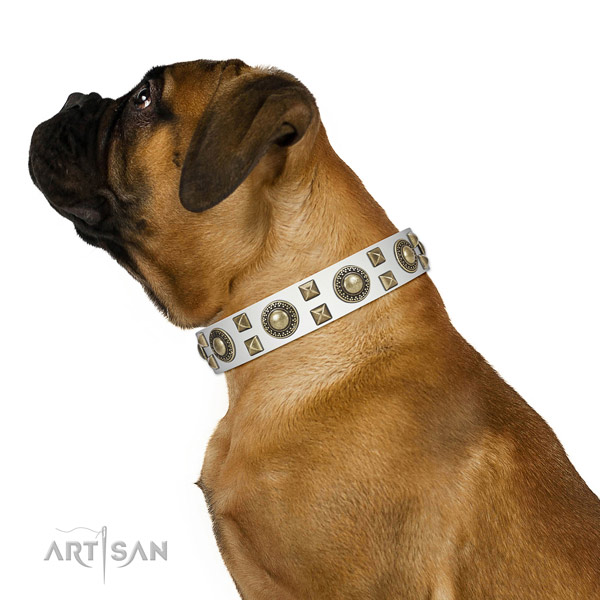 Handcrafted walking leather Bullmastiff collar