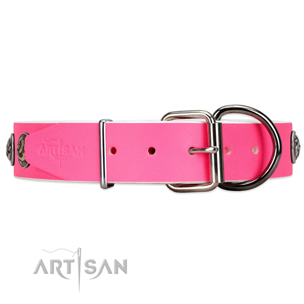 Leather dog collar with chrome plated hardware