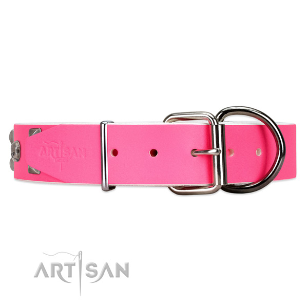 Leather dog collar with silver-like hardware