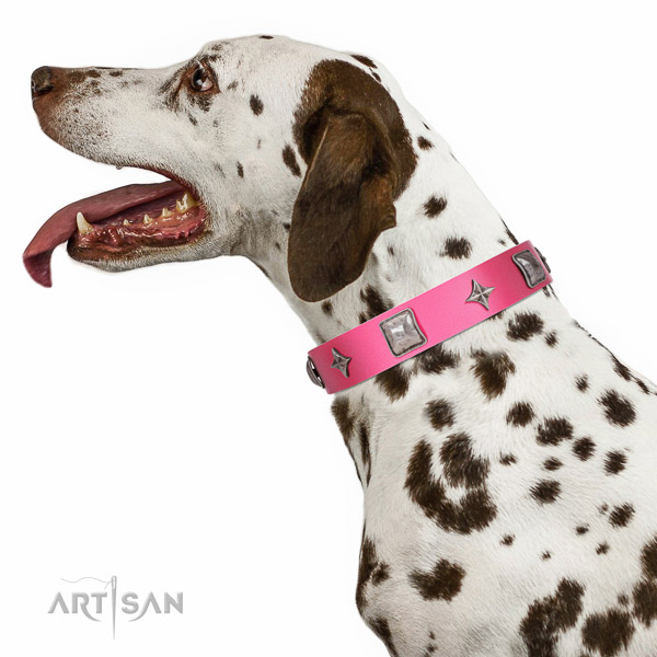 Artisan leather Dalmatian collar for perfect control